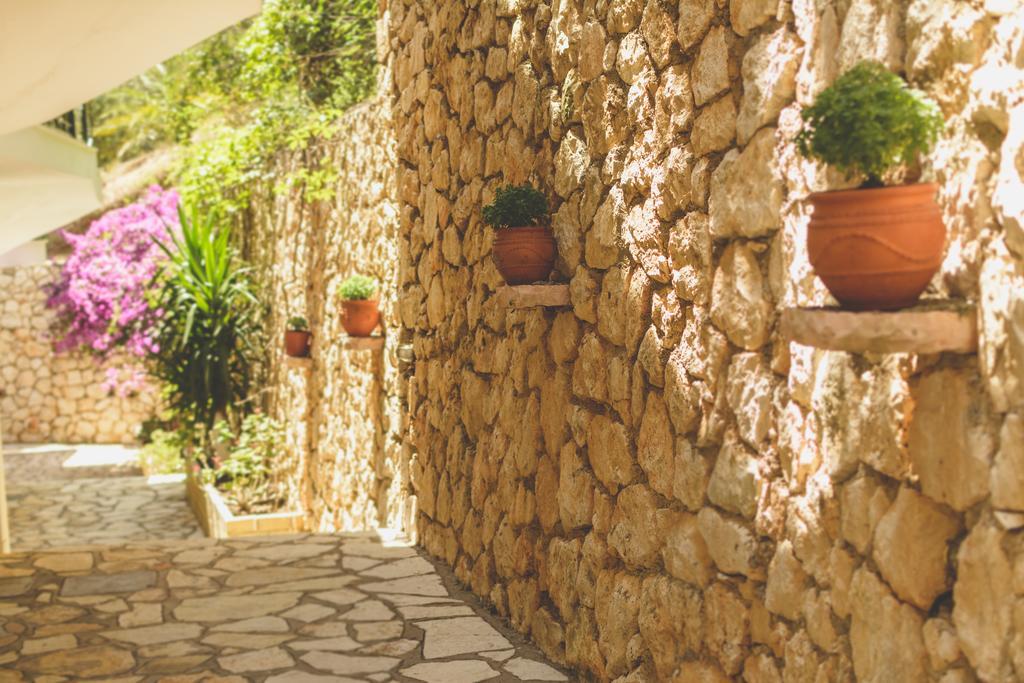 Althea Studios Lefkada Áyios Nikítas Kamer foto