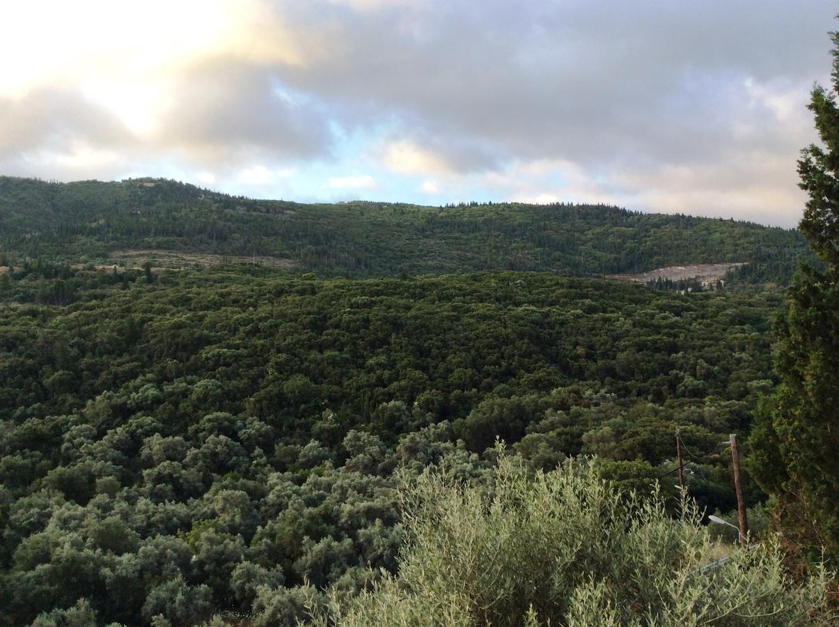 Althea Studios Lefkada Áyios Nikítas Buitenkant foto