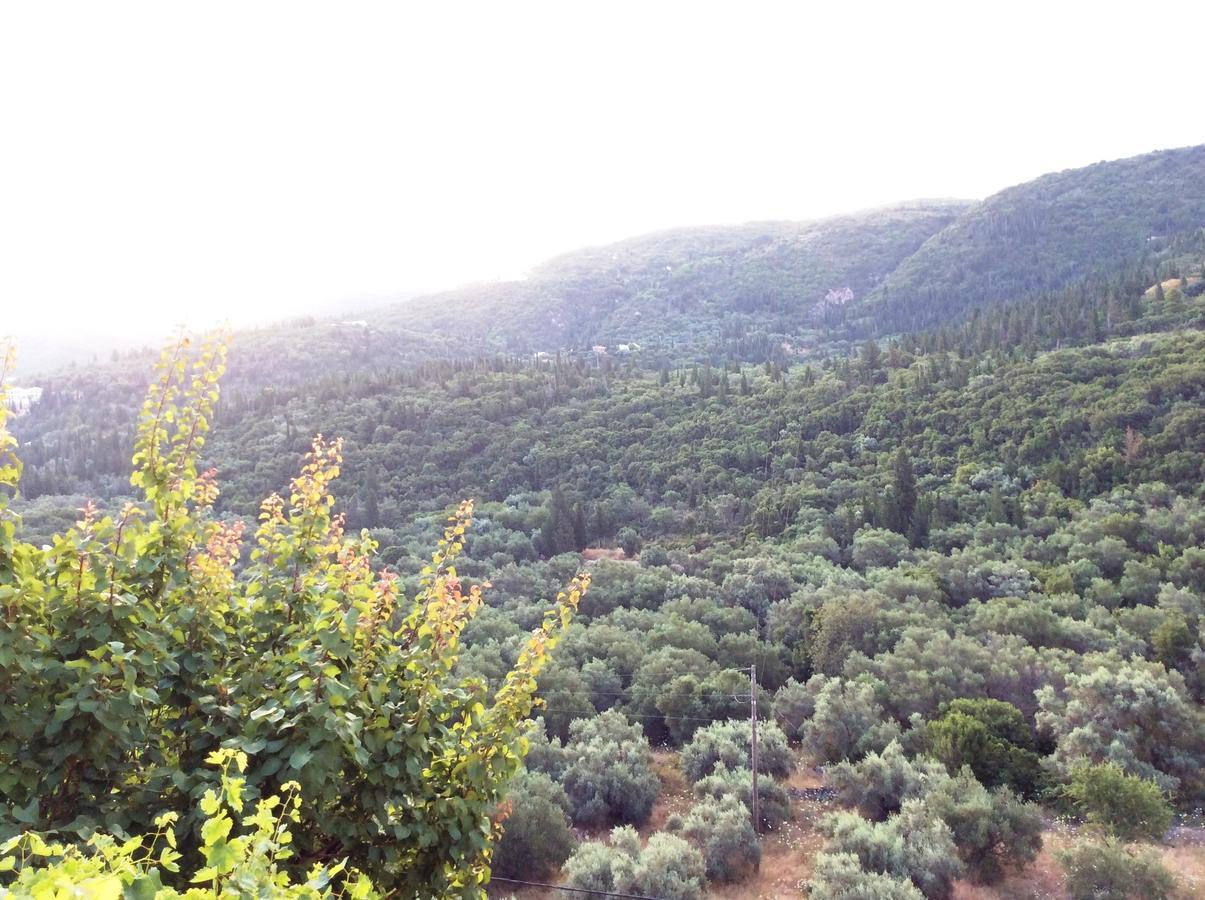 Althea Studios Lefkada Áyios Nikítas Buitenkant foto